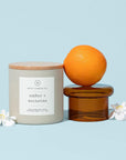 Amber + Nectarine - 14oz. Candle